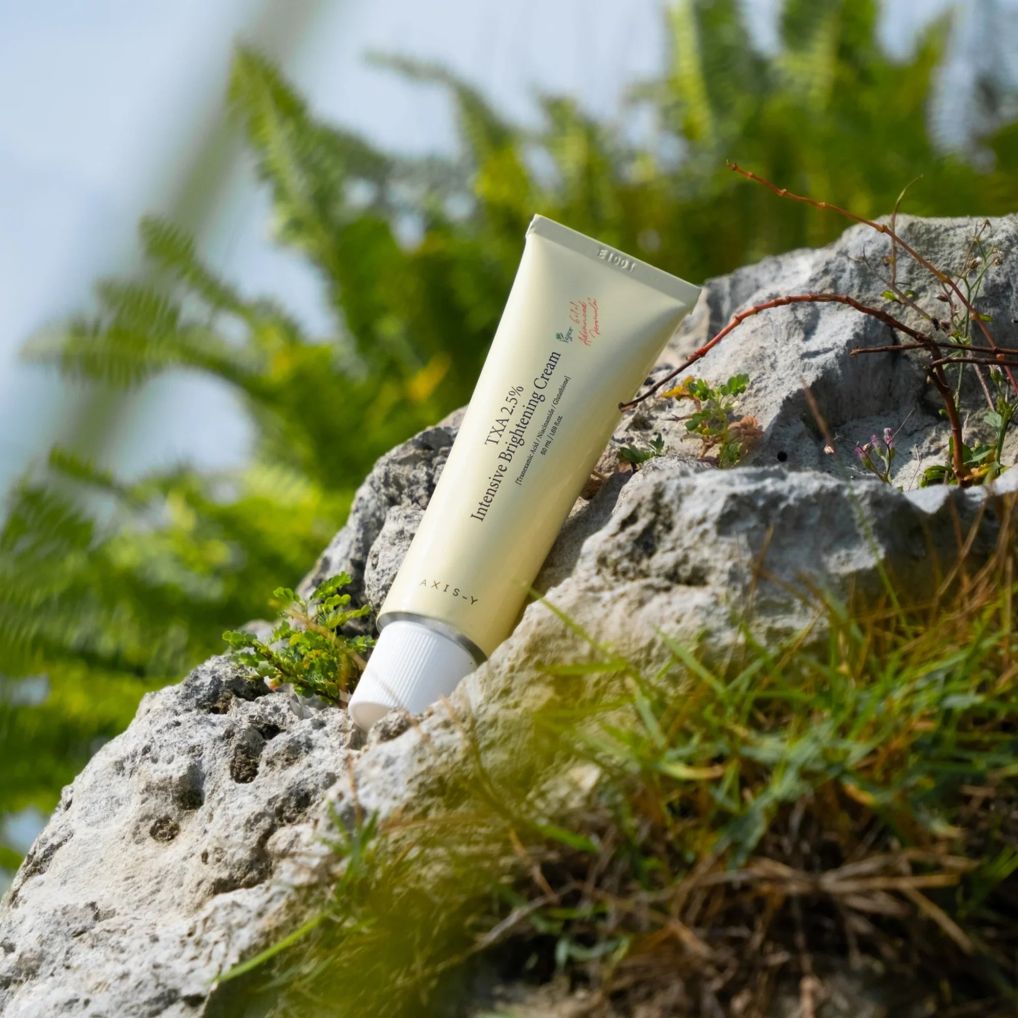 AXIS-Y TXA 2.5% Intensive Brightening Cream – Dark Spot & Tone Correction