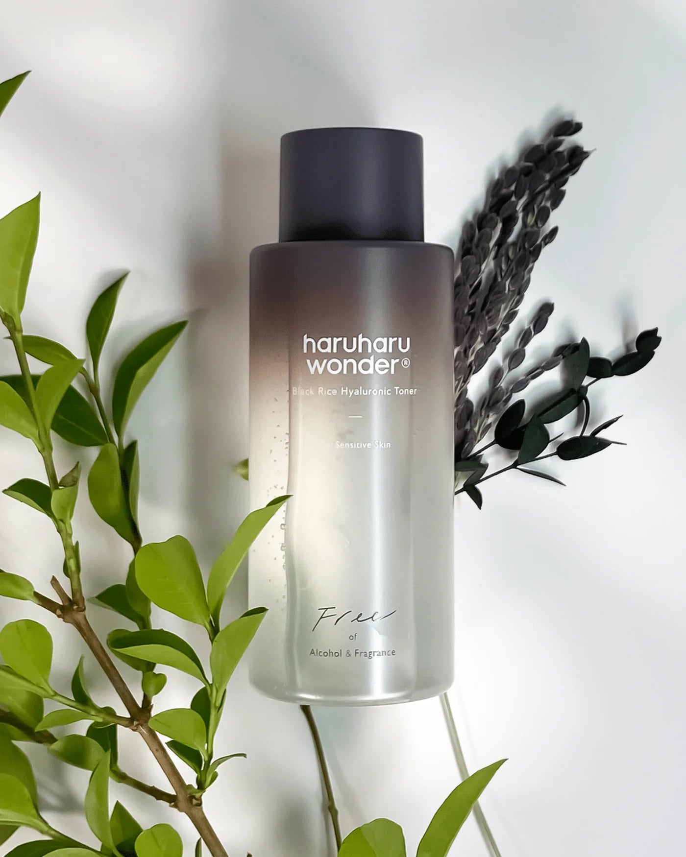 Haruharu Wonder Black Rice Hyaluronic Toner – Hydration & Antioxidant Care